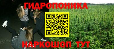 PSILOCYBIN Кумертау