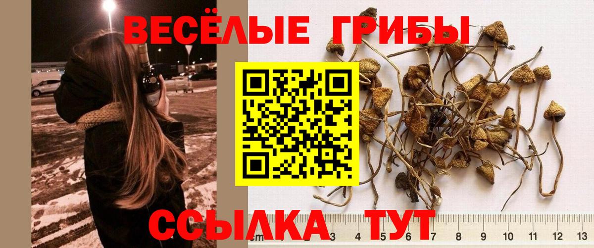 Псилоцибиновые грибы Magic Shrooms  Галлюциногенные грибы Psilocybe  Вход с VPN  Джанкой 